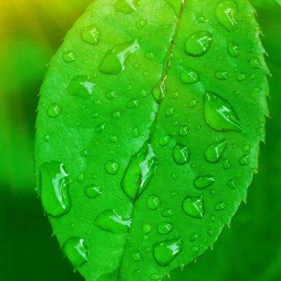 芈月q传破解版下载